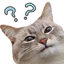 Cat Wut cat_wut Discord Emoji