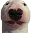 walter