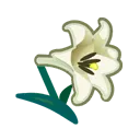 flowerLily