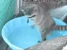 CE_JumpJumpJump