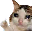 sadthumbsup