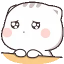 CatChanPlease CatChanPlease
