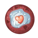 porosnax