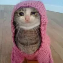 CE_sadcat3 CE_sadcat3