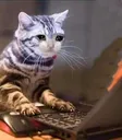 CE_sadcat5
