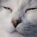 sera sera