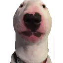 walter