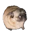 DoggoDance