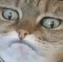 Mphf