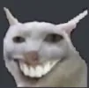 SmilePuss