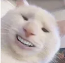 Smilecat smilecat Discord Emoji