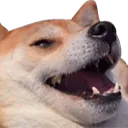 DogeKek