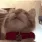 catlick catlick