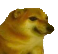 doge Discord emoji