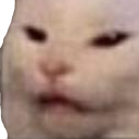 madcat Discord emoji