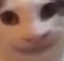 catstare Discord Emoji
