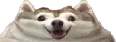 flatdog flatdog