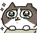 poorcat_beg