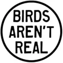 BirdsArentReal