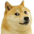 D2_dogeTALK