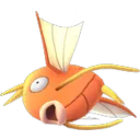 magikarp