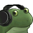 FrogoVibe