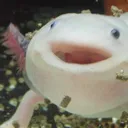 use_promocode_vibetime