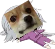 Whendogefacegetsatyou