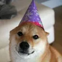 Partydoggo Discord Emoji