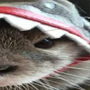 wideabe3