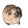pugPls pugPls