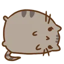 sadtato_sheen