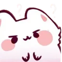 s_kittuconfused
