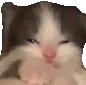 sleepybb31