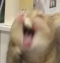 AHHHHHHHHH