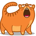 rawr