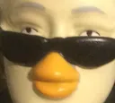 clinton_duck
