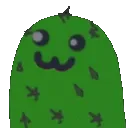 nocooctus