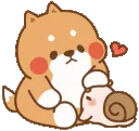 pat