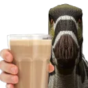Chocmilkfromcampto Chocmilkfromcampto