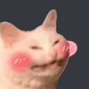 02cat