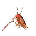 hehasalightsaberhow