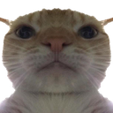 TM_front Discord emoji
