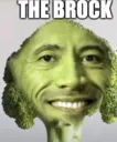 Thebroc