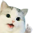 shaftv1Catto shaftv1Catto