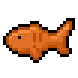 rarefish