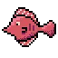 exoticfish