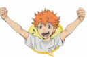 happyshoyo happyshoyo