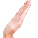 PatLeft