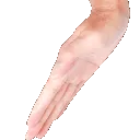 PatRight